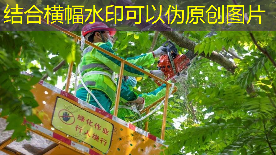 园林绿化对于减少噪音污染的作用是怎样的？