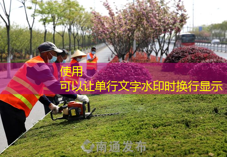 中山珠海园林绿化工程养护
