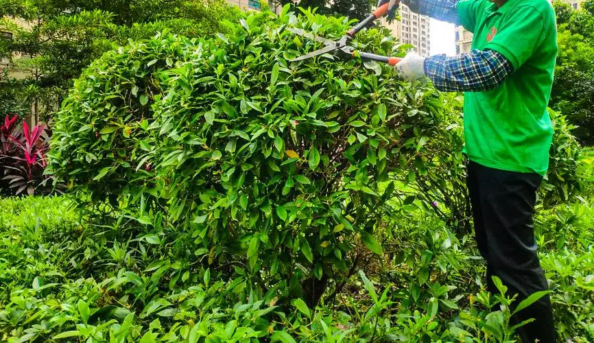 深圳绿化工程是什么