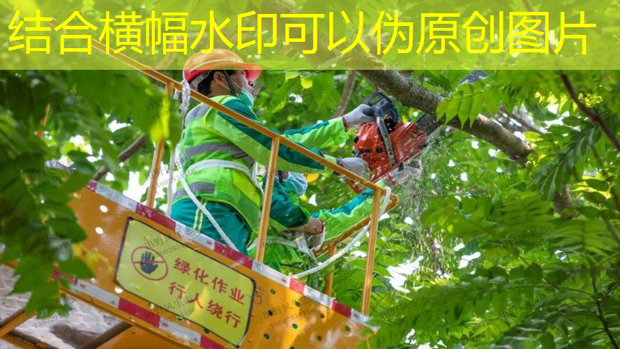 榆林园林绿化工程外包