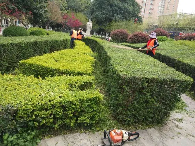 花坛园林景观设计案例分析